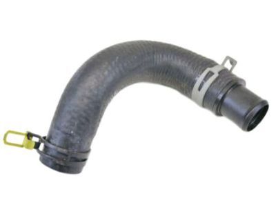 Ram 4677731AB HOSE AND CLAMP Radiator Outlet