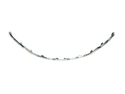 Mopar 68202984AB Molding, Front