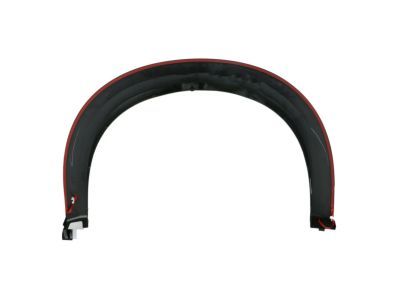 Ram 1TD45TZZAA MOLDING Wheel Opening Flare