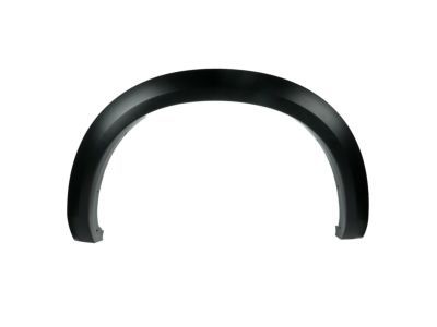 Ram 1TD45TZZAA MOLDING Wheel Opening Flare