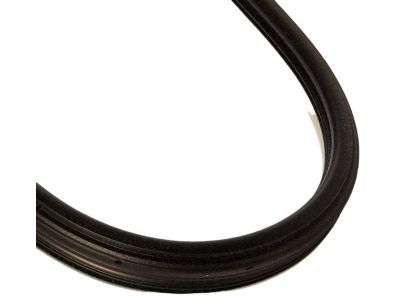 Dodge Magnum Weather Strip - UQ20BD1AC