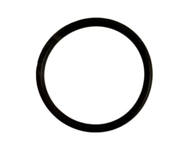 Chrysler MN176208 O RING Camshaft Thrust Case