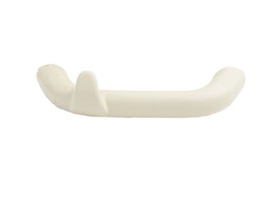 Dodge 1FG17DW1AA HANDLE Grab