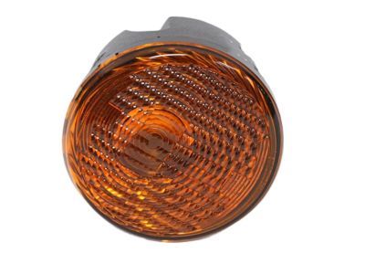 Jeep 55077885AD LAMP Park and Turn Signal