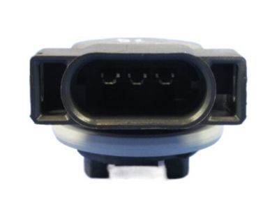 Jeep 68060366AA SOCKET Park And Turn Signal