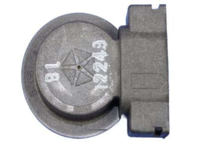 Jeep 68060366AA SOCKET Park And Turn Signal