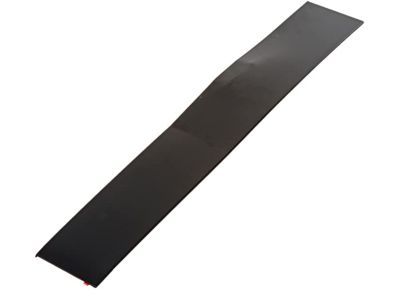 Dodge 5303583AB APPLIQUE B Pillar Front
