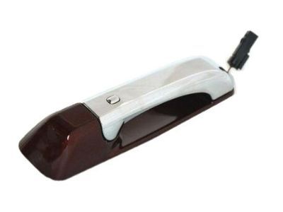 2020 Ram 1500 Door Handle - 1UJ881RVAJ