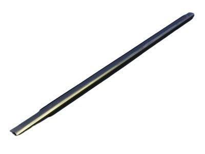 Chrysler 55364719AB WEATHERSTRIP Front Door Belt Outer