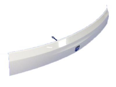 Ram C/V Tailgate Handle - 1VW72SW1AB