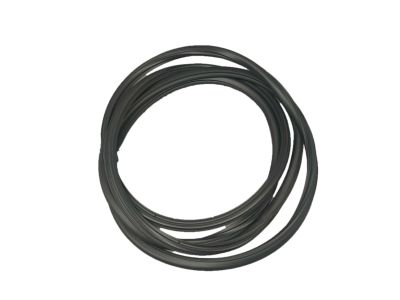 Dodge 5183172AC SEAL Sunroof Glass