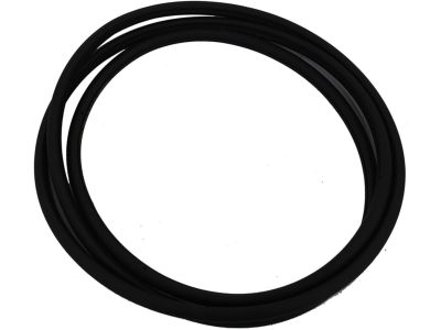 Dodge 5183172AC SEAL Sunroof Glass