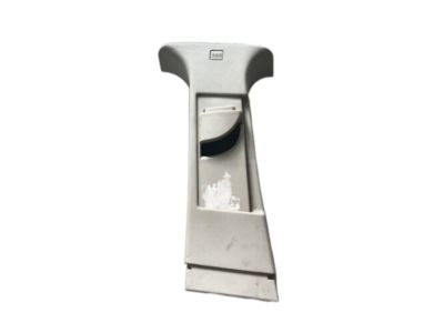 Dodge 1BG11HDAAD MOLDING B Pillar