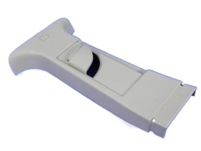 Dodge 1BG11HDAAD MOLDING B Pillar