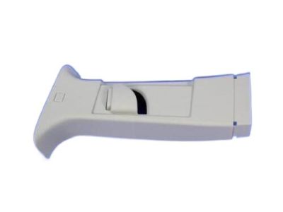 Dodge 1BG11HDAAD MOLDING B Pillar