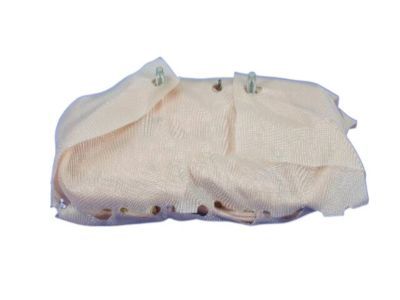 Jeep 52029335AD AIR BAG Seat