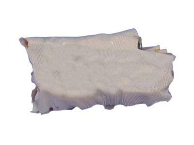 Jeep 52029335AD AIR BAG Seat