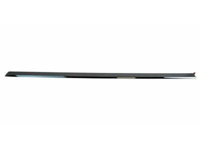 Ram 82213504 MOLDING KIT Body Side