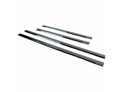 Ram 82213504 MOLDING KIT Body Side