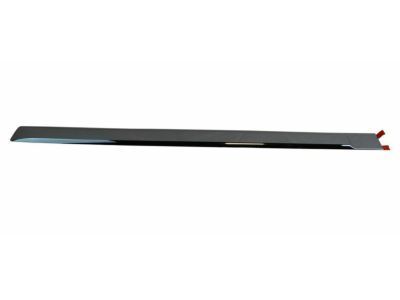 Ram 82213504 MOLDING KIT Body Side