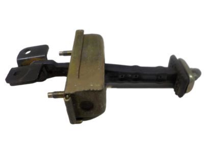Chrysler Door Check - 4894172AC