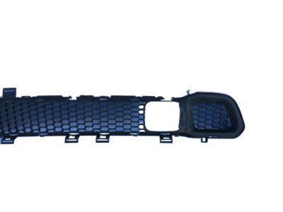Mopar 68203217AA Lower Grille, Front