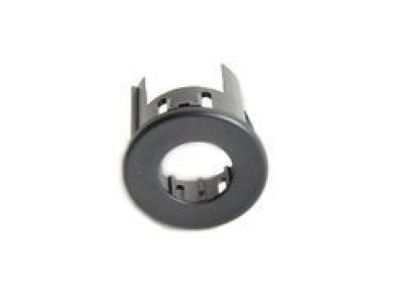Ram 5LS54TZZAA BEZEL Park Distance