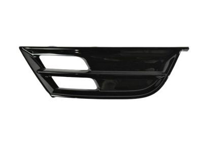 Chrysler 68203015AB Bezel - Access Delete