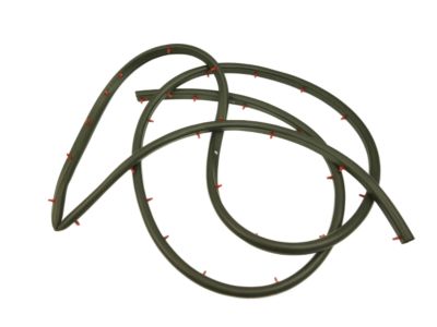 Dodge Ram Wagon Door Seal - 55346676AI