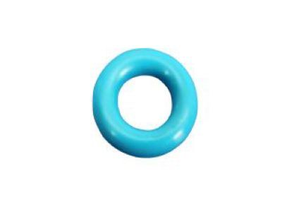 Jeep 4897125AA O RING KIT Fuel Injector