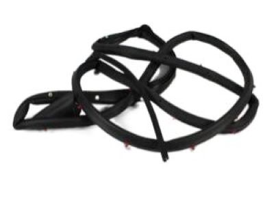 Dodge Magnum Weather Strip - 5065164AI