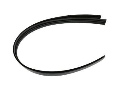 Jeep 68289611AA RUBBER STRIP