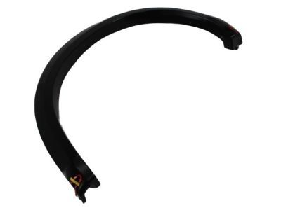 Ram 1TD44TZZAA MOLDING Wheel Opening Flare