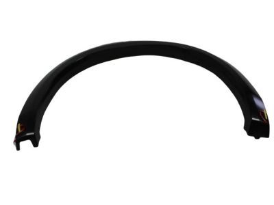 Ram 1TD44TZZAA MOLDING Wheel Opening Flare