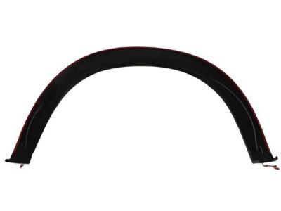 Ram 1TD44TZZAA MOLDING Wheel Opening Flare