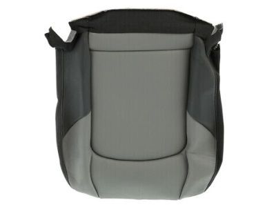 Ram 1XT35BD3AA COVER Front Seat Cushion