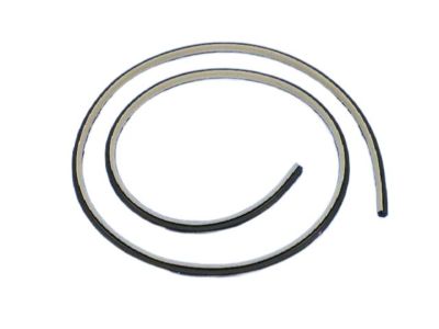 Mopar 1KV45DX9AG Weatherstrip On Body, Black, Front Inner