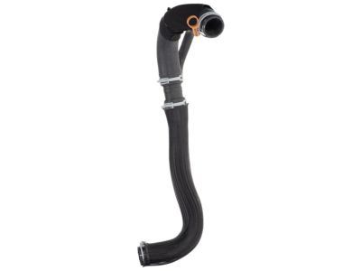 Mopar 4598103AG Lower Hose