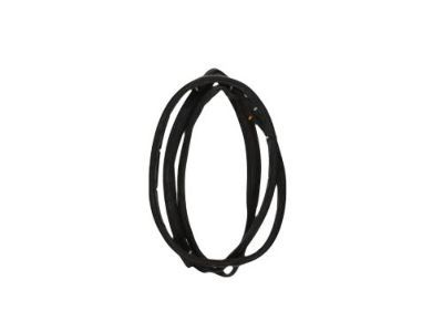 Mopar 5017462AF Weatherstrip, Front Door