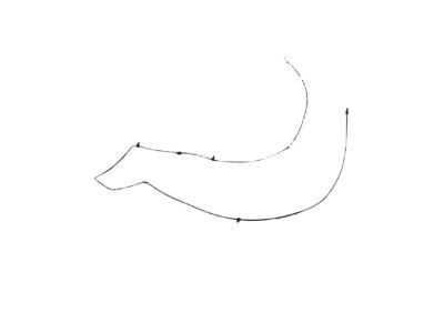 Mopar 4805741AE Washer Hose, Front