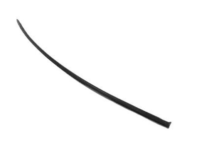Chrysler YA00CBKAA MOLDING Drip Rail