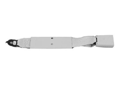 Ram 1XE661X9AA BUCKLE ASSY BUCKLE ASSY-S/BELT Lap, Center