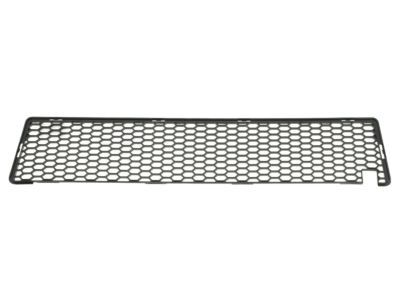 Mopar 5030288AD Lower Grille, Front