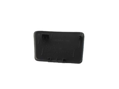 Ram 1WD63DX9AA COVER Release Handle Bezel