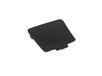 Ram 1WD63DX9AA COVER Release Handle Bezel