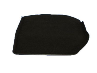 Dodge 1WS40DX9AC CARPET Insert Upper