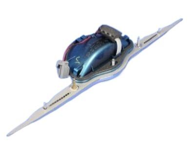 Chrysler PT Cruiser Tailgate Handle - ZK71FQDAD