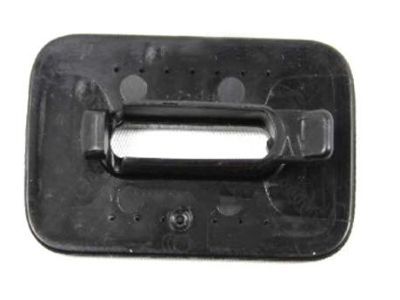 Ram 1US97DX9AB BEZEL Pull Strap