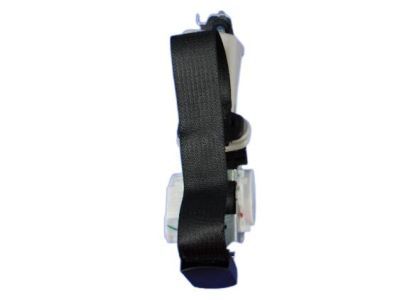 Mopar ZV72DX9AD Outer Belt, Black, Rear Passenger Side