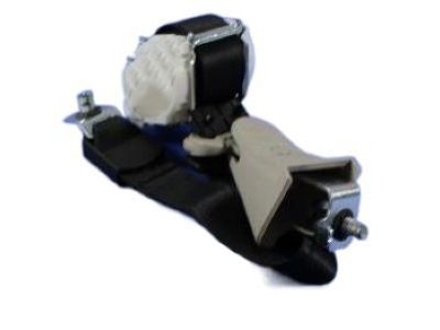 Mopar ZV72DX9AD Outer Belt, Black, Rear Passenger Side